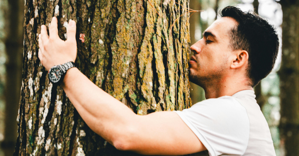 Adam and Eve disobedience suffering