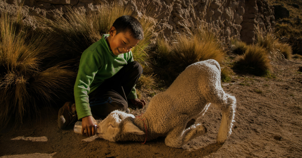 Cain and Abel psychology